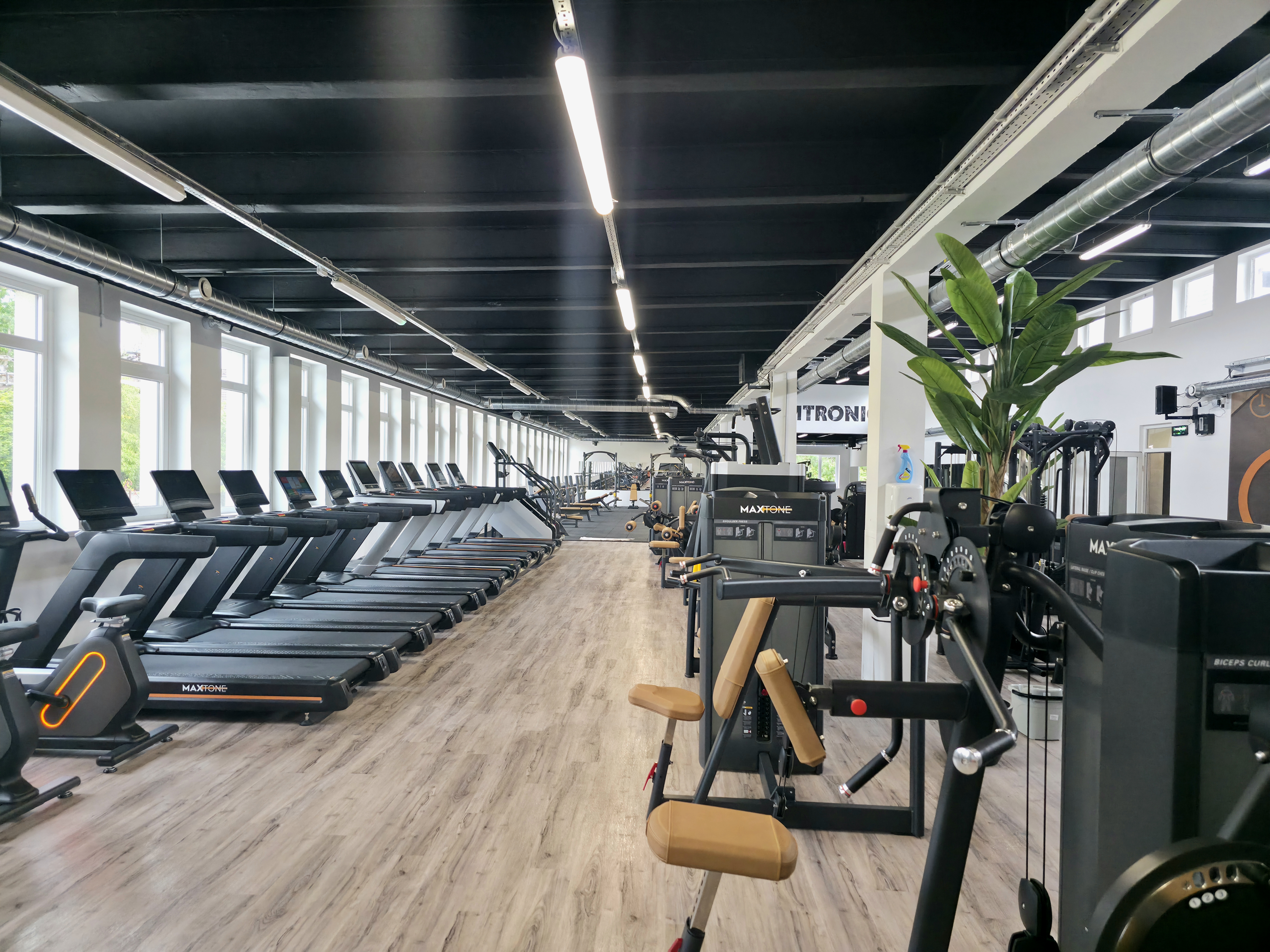 GYMtronic Veszprém